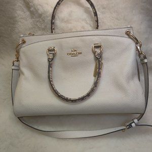 COACH Khaki Chalk F76642